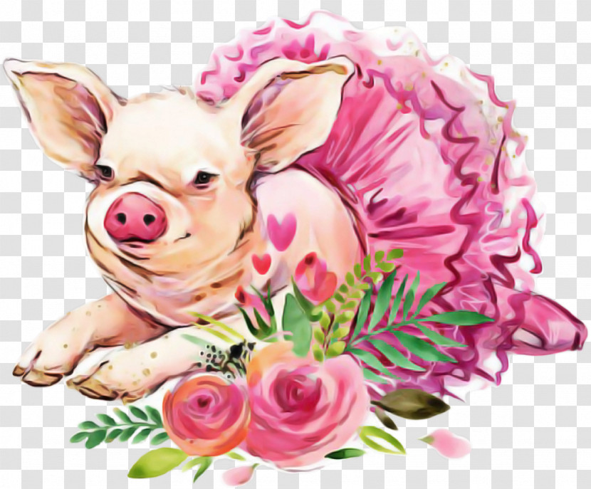 Pink Suidae Snout Chihuahua Livestock Transparent PNG