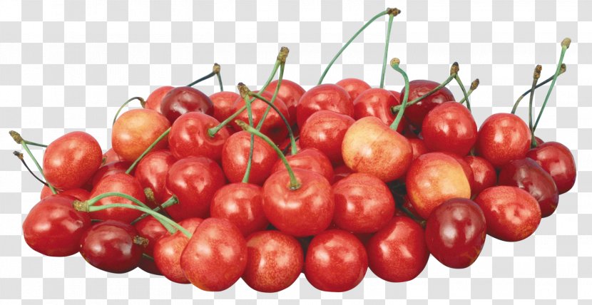 Cherry Fruit - Malpighia - Red Image, Free Download Transparent PNG
