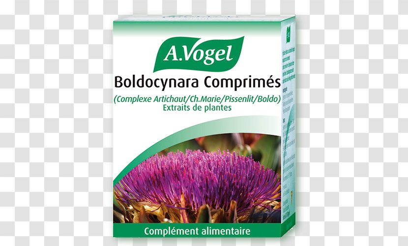 Flowering Plant A Vogel Liver Gallbladder Drops Brand - Flower Transparent PNG