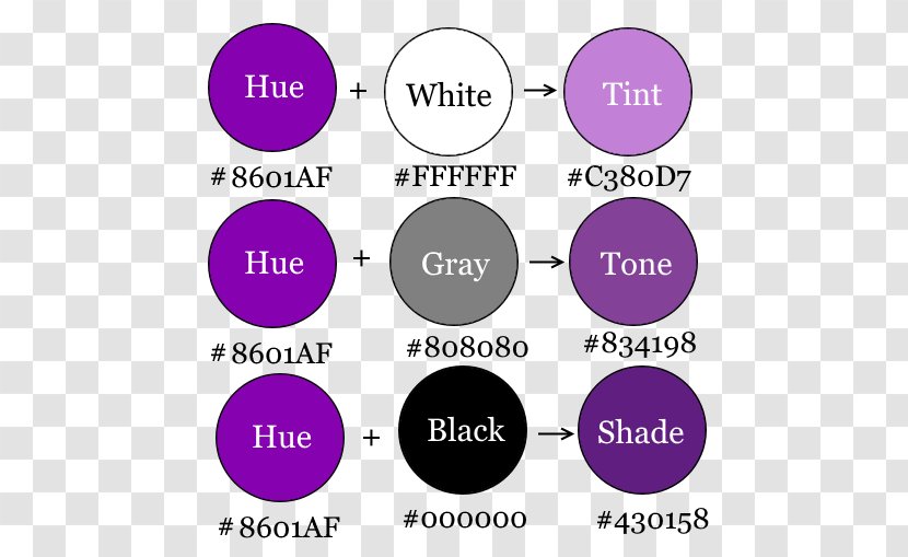 Brand Font - Diagram - Tints And Shades Transparent PNG