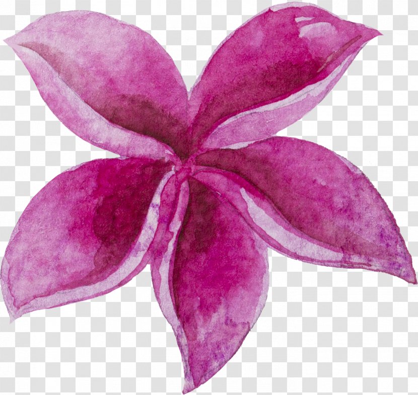 Watercolor Painting Image Petal - Plant - Purple Flowers Ftestickers Transparent PNG