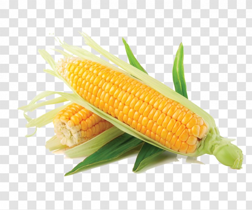 Corn On The Cob Maize Vegetable Sweet Salad Transparent PNG