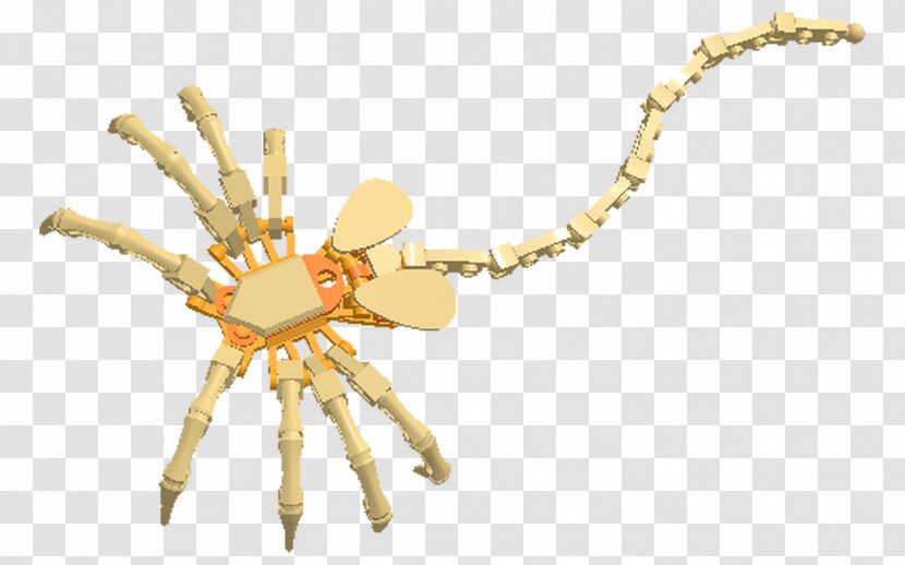 Insect Spider-Man Arachnid - Organism Transparent PNG