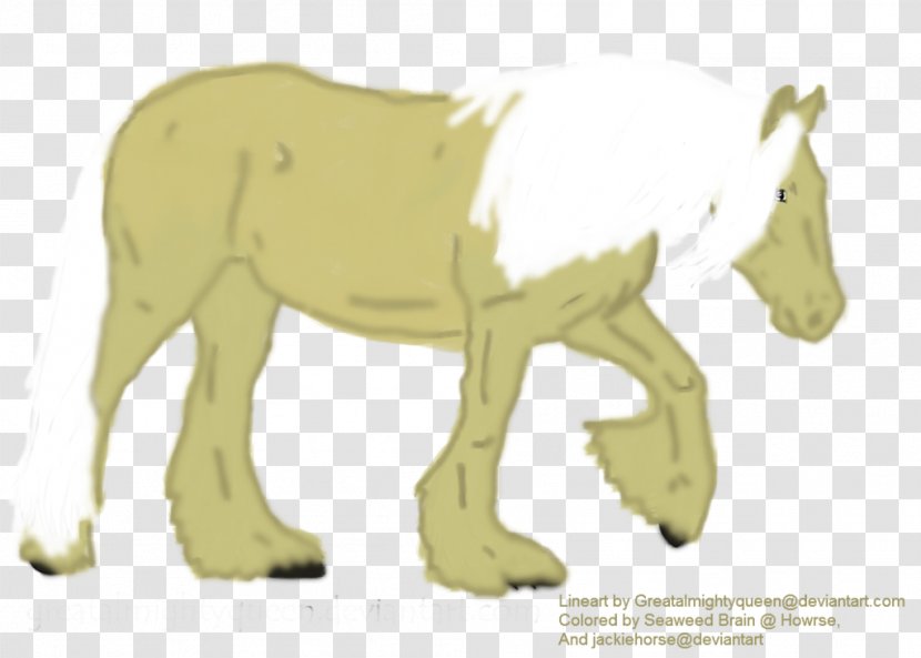 Pony Cattle Lion Horse Dog - Canidae - Gypsy Transparent PNG