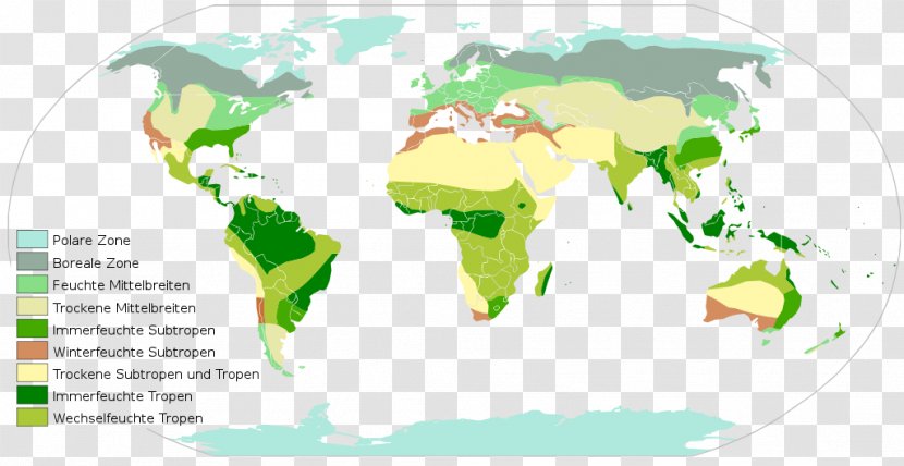 World Map Biogeographic Realm - Organism Transparent PNG