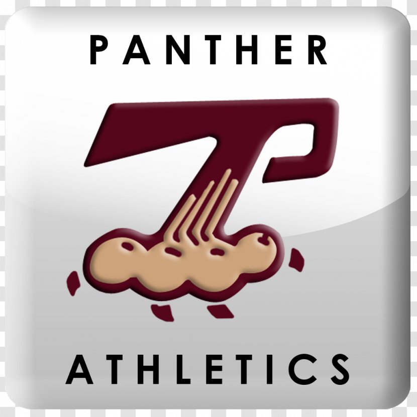 Pelion High School Logo Brand National Secondary Font - Sign Transparent PNG