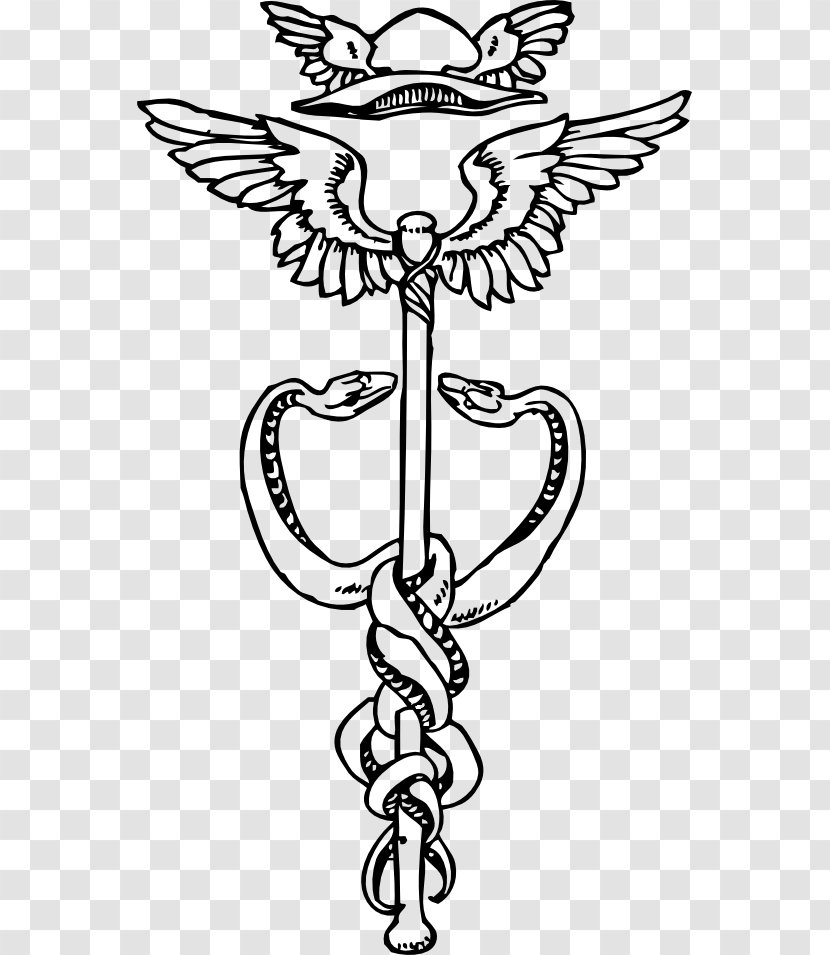 Staff Of Hermes Caduceus As A Symbol Medicine Clip Art - Drawing - Aesculapian Snake Transparent PNG