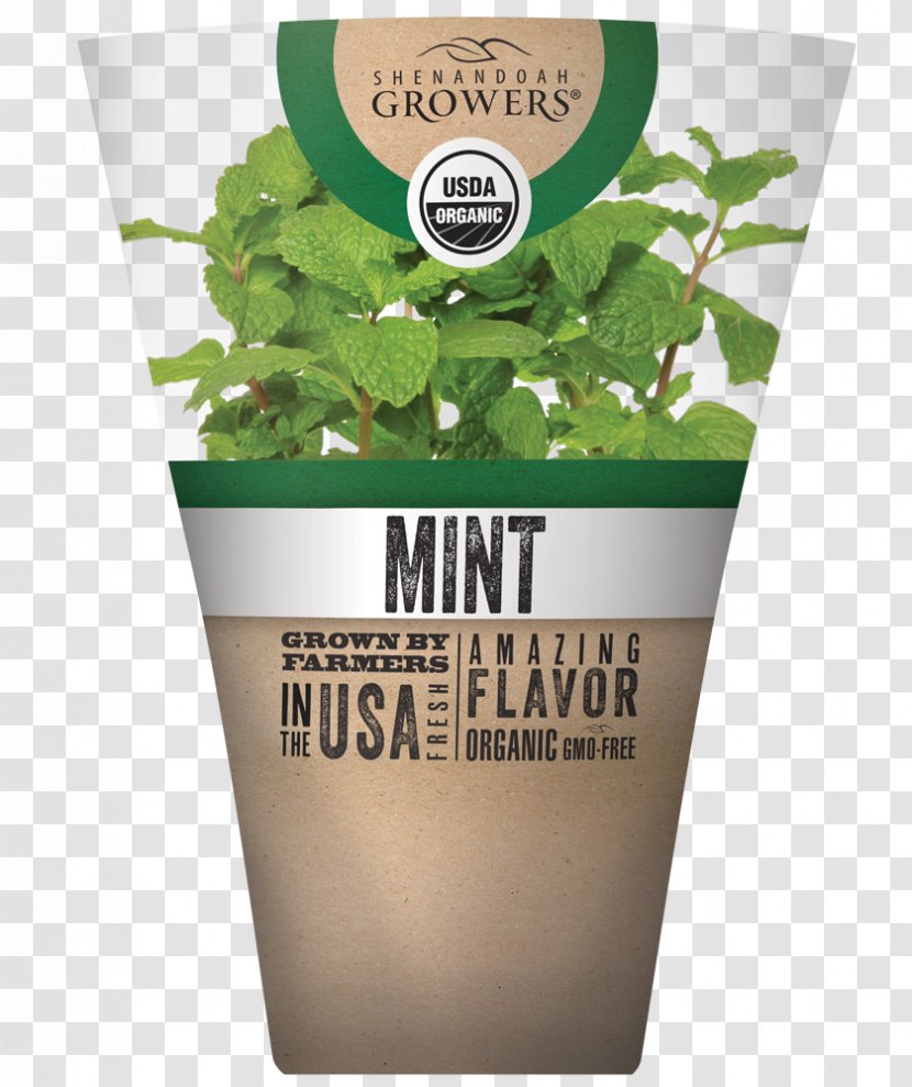 Herb Flowerpot Mint Julep Oregano Transparent PNG