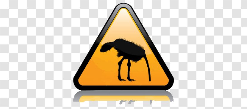 Common Ostrich Stock Photography Royalty-free Clip Art - Cartoon - Frame Transparent PNG