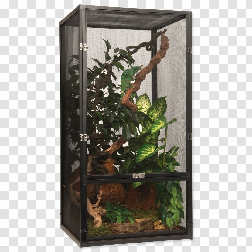 Terrarium Reptile Cat Pet Cage - Chameleons Transparent PNG