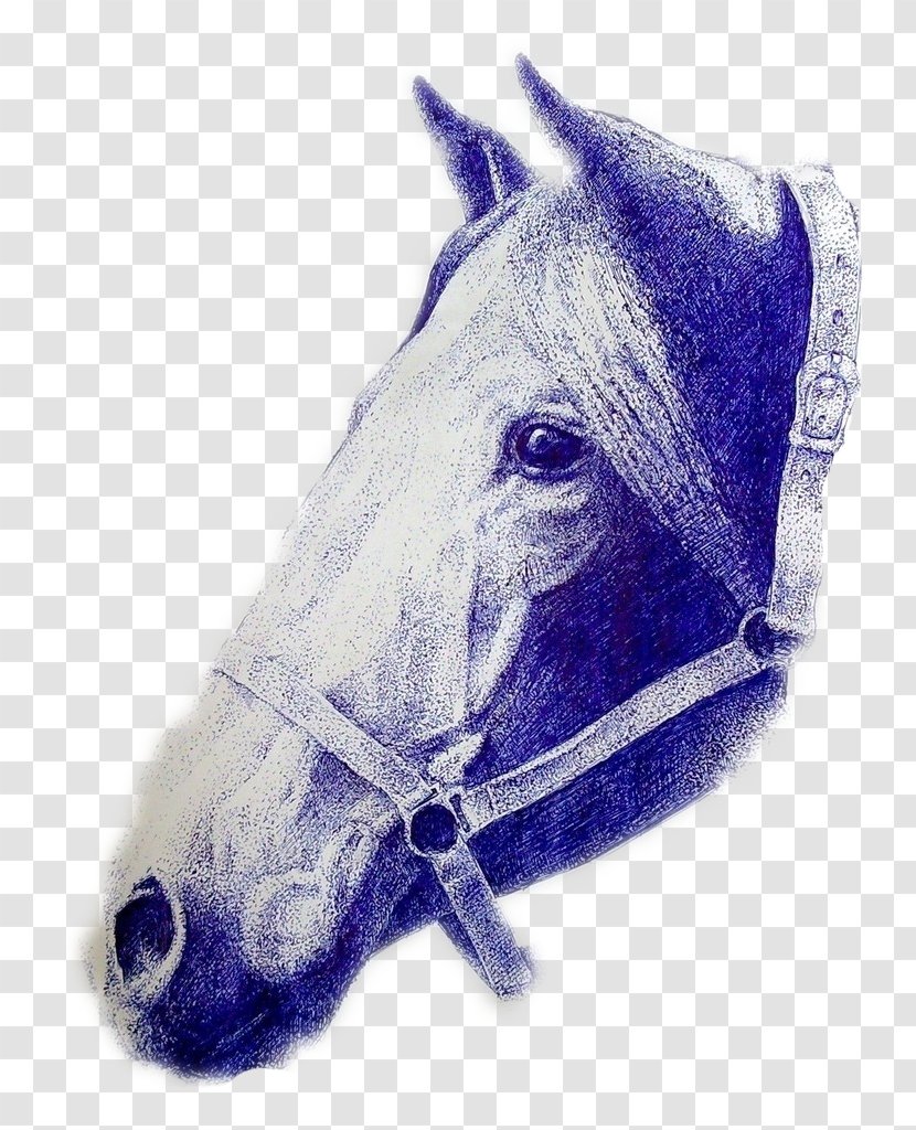 Horse Illustration - Drawing - A Hand-painted Transparent PNG