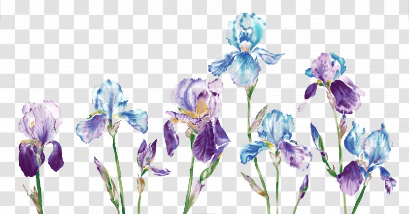 Watercolor Painting Download - Iris - Creative Wallpapers Orchid Water Transparent PNG