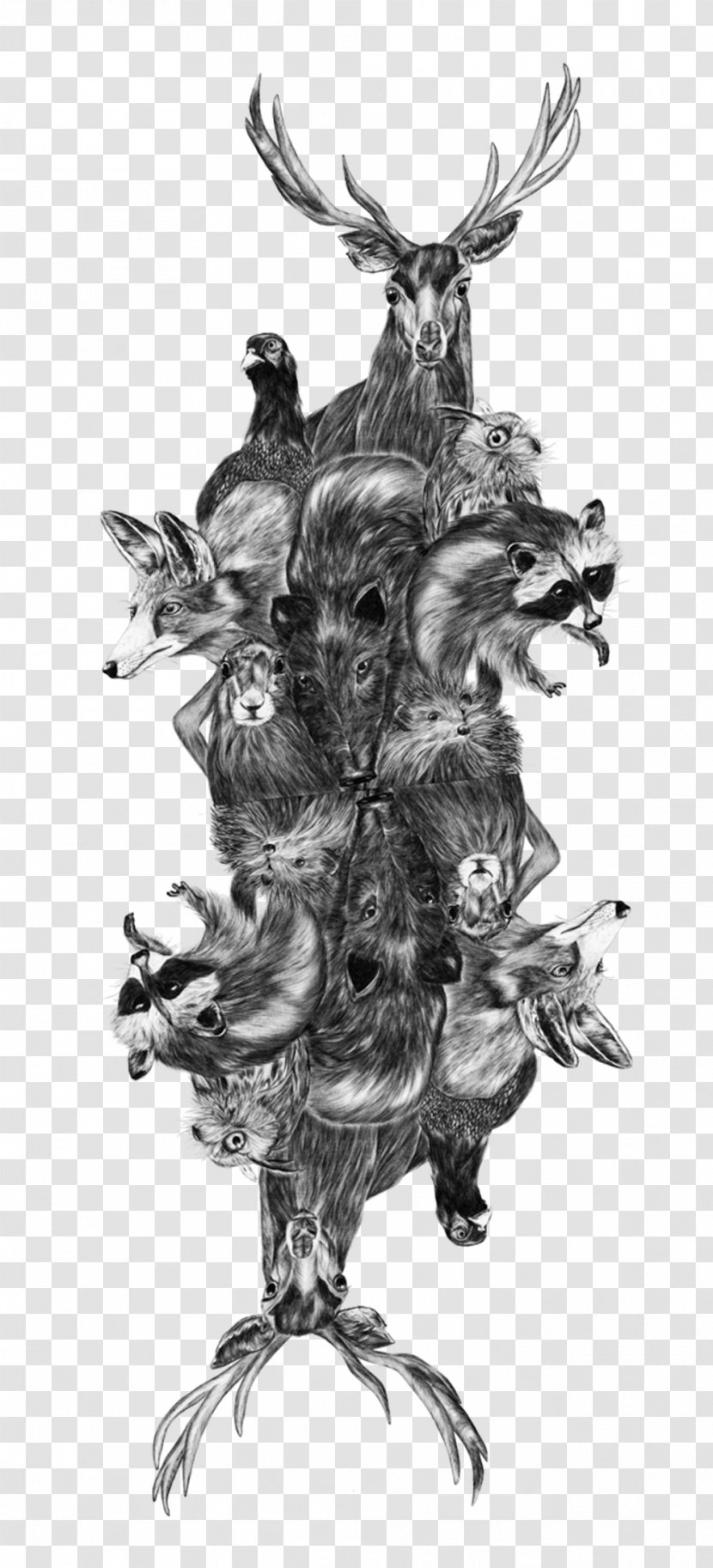 Visual Arts Drawing - Monochrome Photography - Deep Forest Transparent PNG