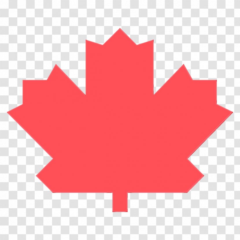 Maple Leaf - Symbol - Logo Transparent PNG