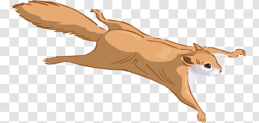 Prairie Dog Flying Squirrel Eastern Gray Clip Art - Fauna Transparent PNG