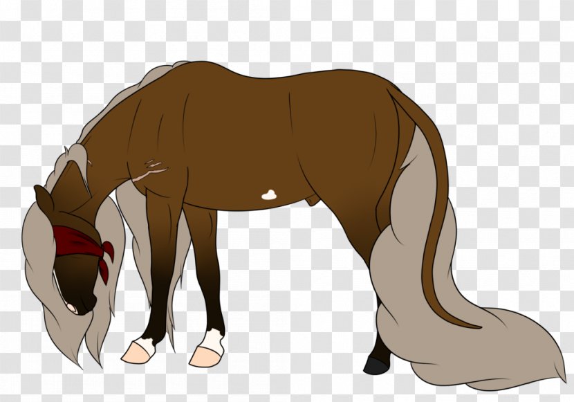 Foal Mustang Stallion Colt Donkey Transparent PNG