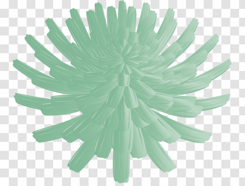 Dandelion Flower Transparent PNG