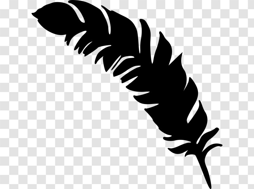 Feather Drawing - Artwork Transparent PNG