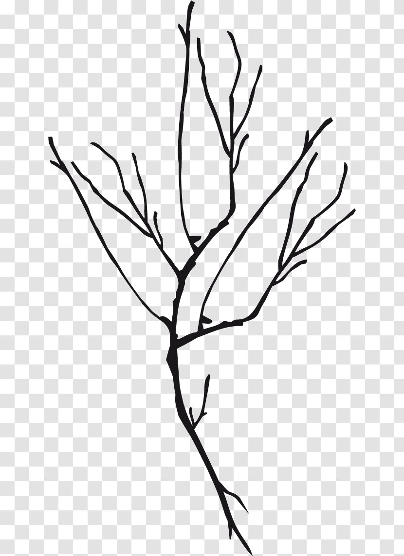 Twig Line Art Plant Stem Leaf Clip - Rama Transparent PNG