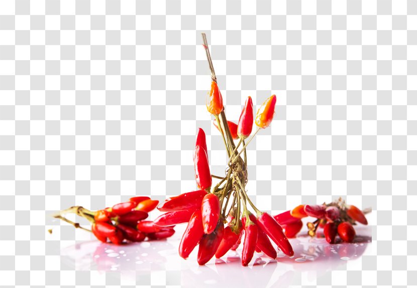 Indian Cuisine Chili Pepper Food Photography South Asian Pickles - Bell Peppers And - Tabasco Transparent PNG