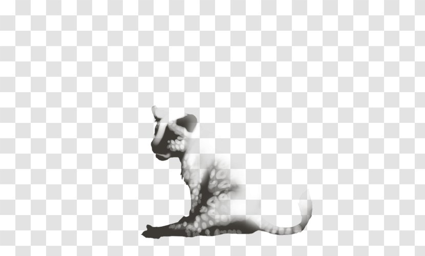 Whiskers Balinese Cat Kitten Dog Drawing - Like Mammal Transparent PNG