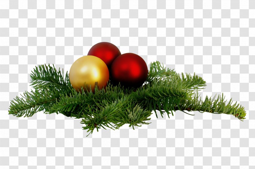 Christmas Tree - Conifer - Ornament Pine Family Transparent PNG