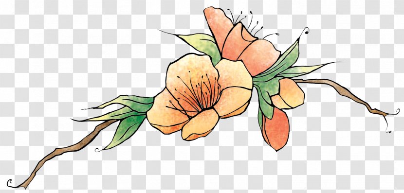 Floral Design Cut Flowers Line Art Transparent PNG