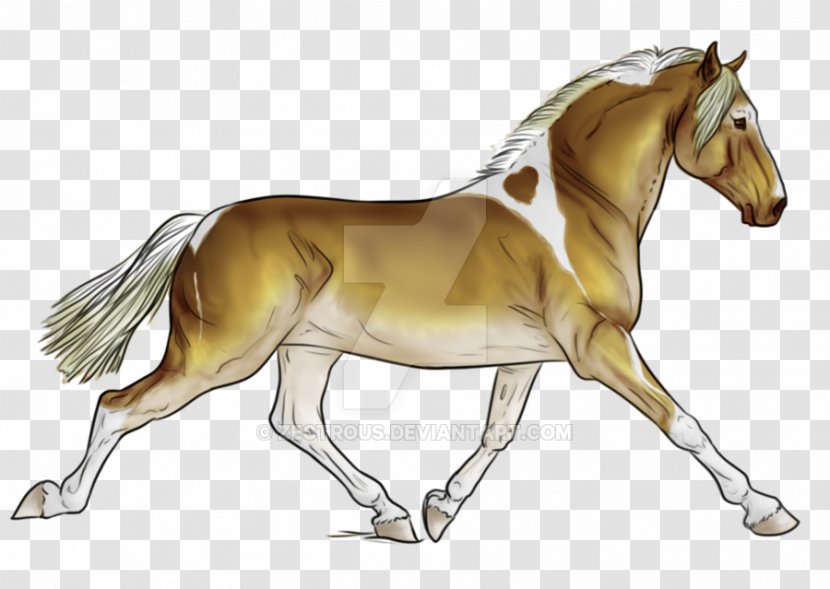 Foal Stallion Mustang Mare Pony - Pack Animal - Minimal Tobiano Transparent PNG