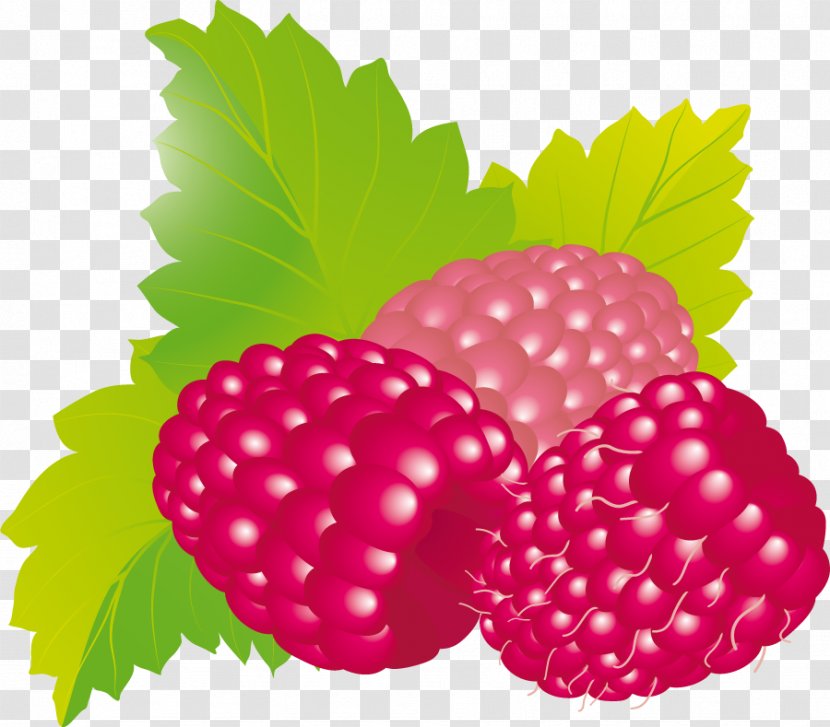 Food Raspberry Health Clip Art - Natural Foods - Limon Transparent PNG