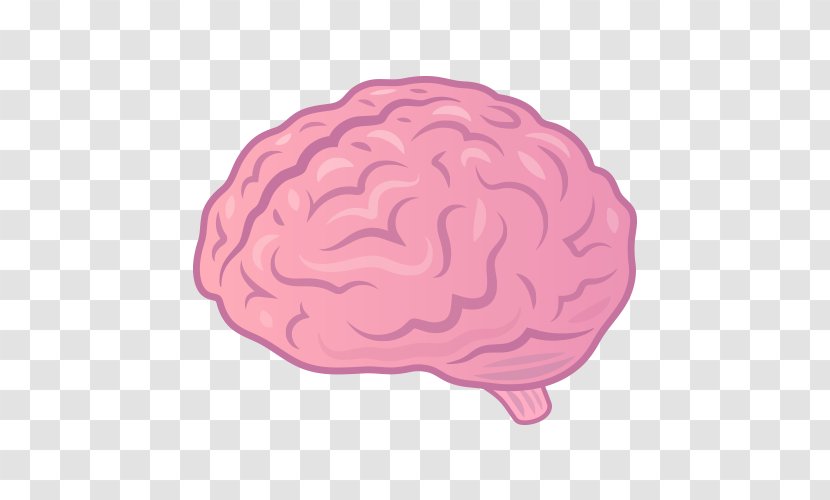 Brain You May Also Like: Taste In An Age Of Endless Choice Emoji Blog WordPress - Flower Transparent PNG