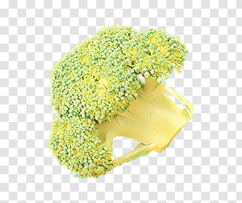 Yellow Cut Flowers Flower Plant Headgear - Hydrangea Cruciferous Vegetables Transparent PNG
