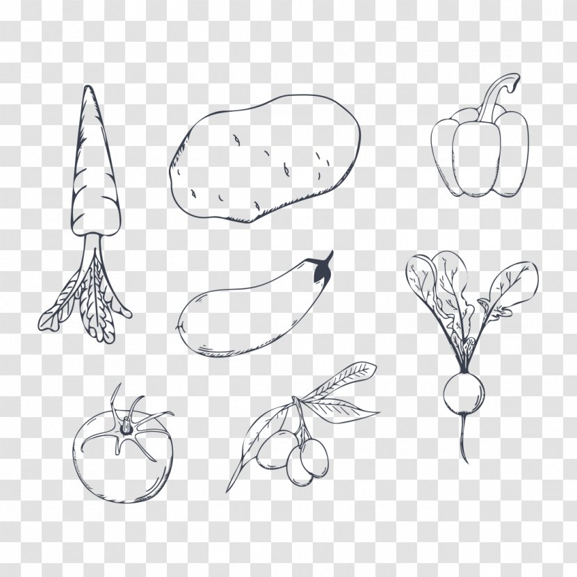 Vector Graphics Food Vegetable Design - Simple Designs Transparent PNG
