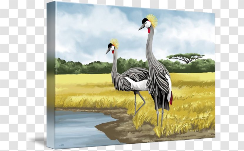 Grey Crowned Crane Bird Art Painting - Work Of Transparent PNG