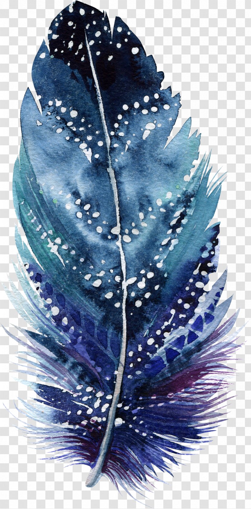 Watercolor Painting Drawing Feather Art Illustration Transparent PNG