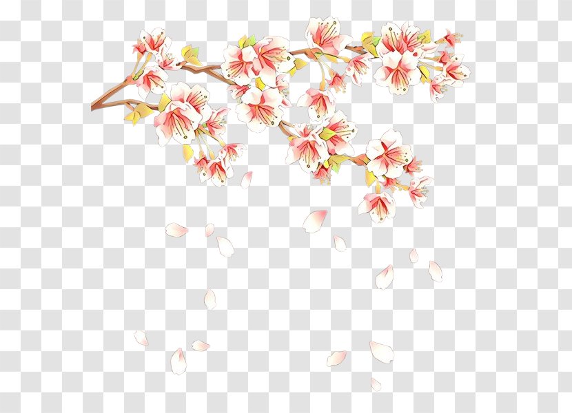 Cherry Blossom Design Illustration Spring - Floral - Pink Transparent PNG