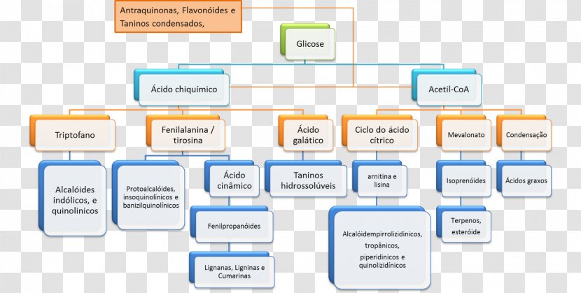 Online Advertising Brand Organization - Company - Biological Medicine Catalogue Transparent PNG