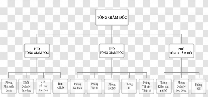 Document Line Organization Pattern - Text - Vietnam Construction Transparent PNG