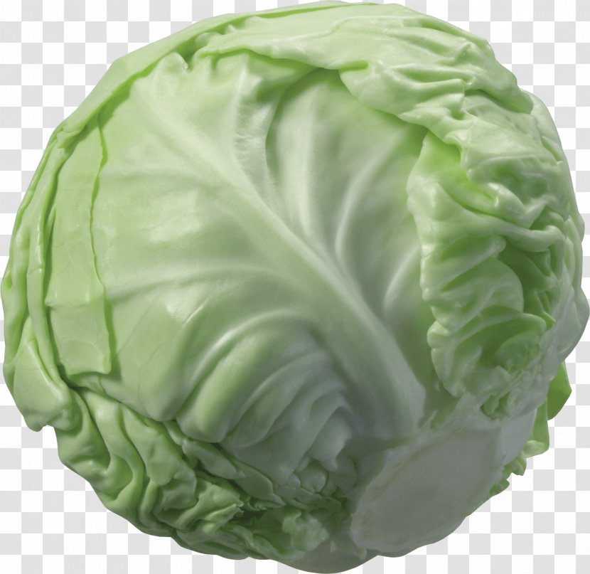 Cabbage Cauliflower Vegetable - Napa - Image Transparent PNG