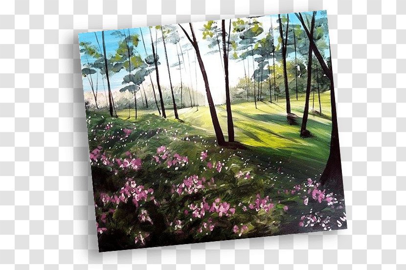 Flowery Branch Landscaping Flora Nature - Lawn - Flower Transparent PNG
