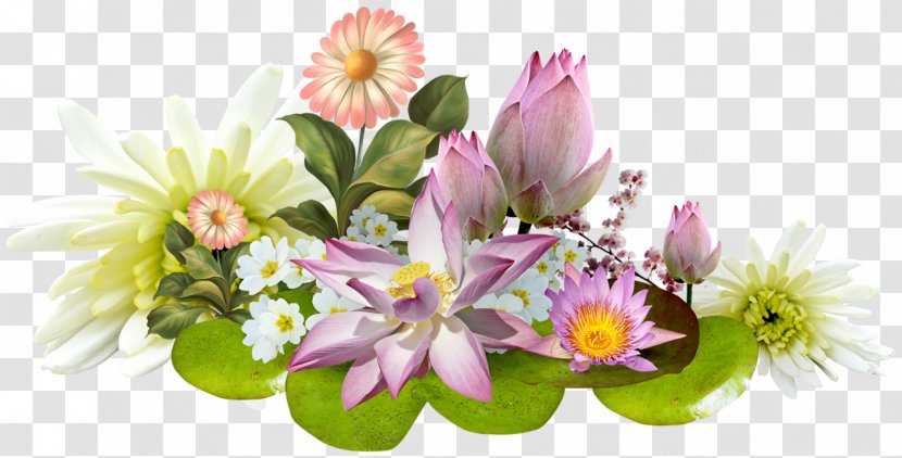 Fleurs Tropicales Flower - Garden Roses - Hand-painted Lotus HD Transparent PNG
