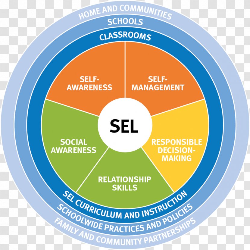 Learning Education Skill School Student - Diagram Transparent PNG