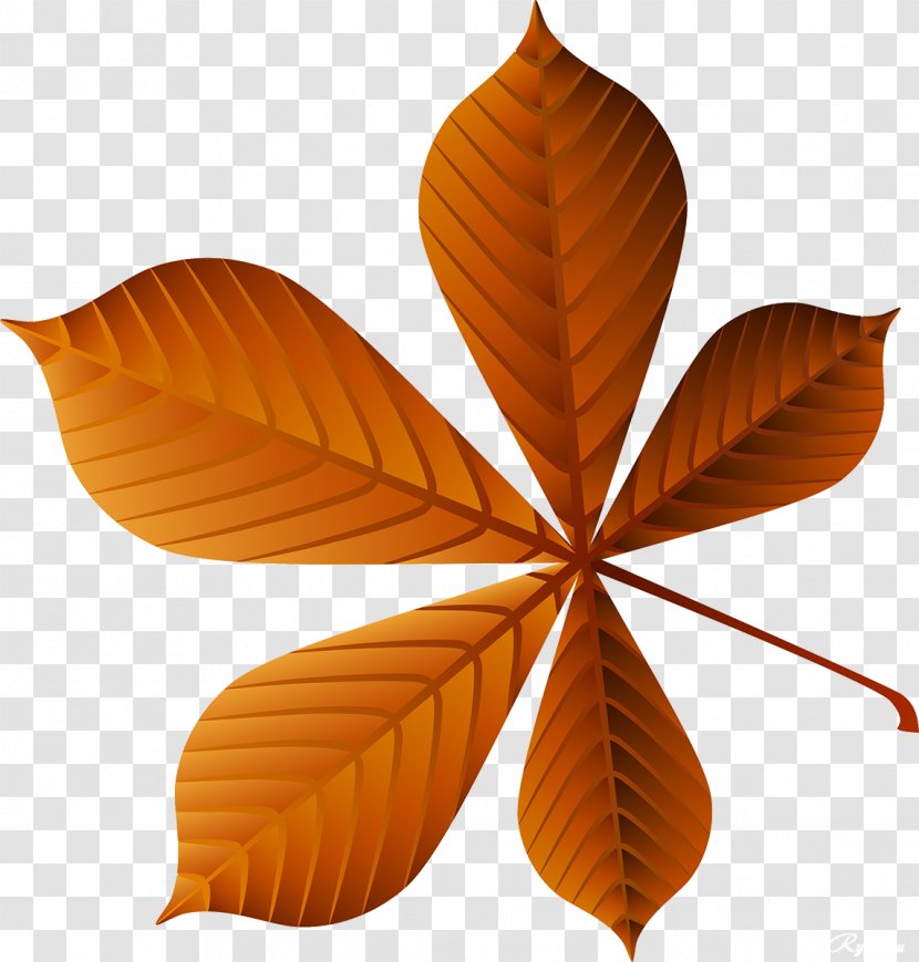 Leaf Raster Graphics Plant Clip Art - Leaves Transparent PNG