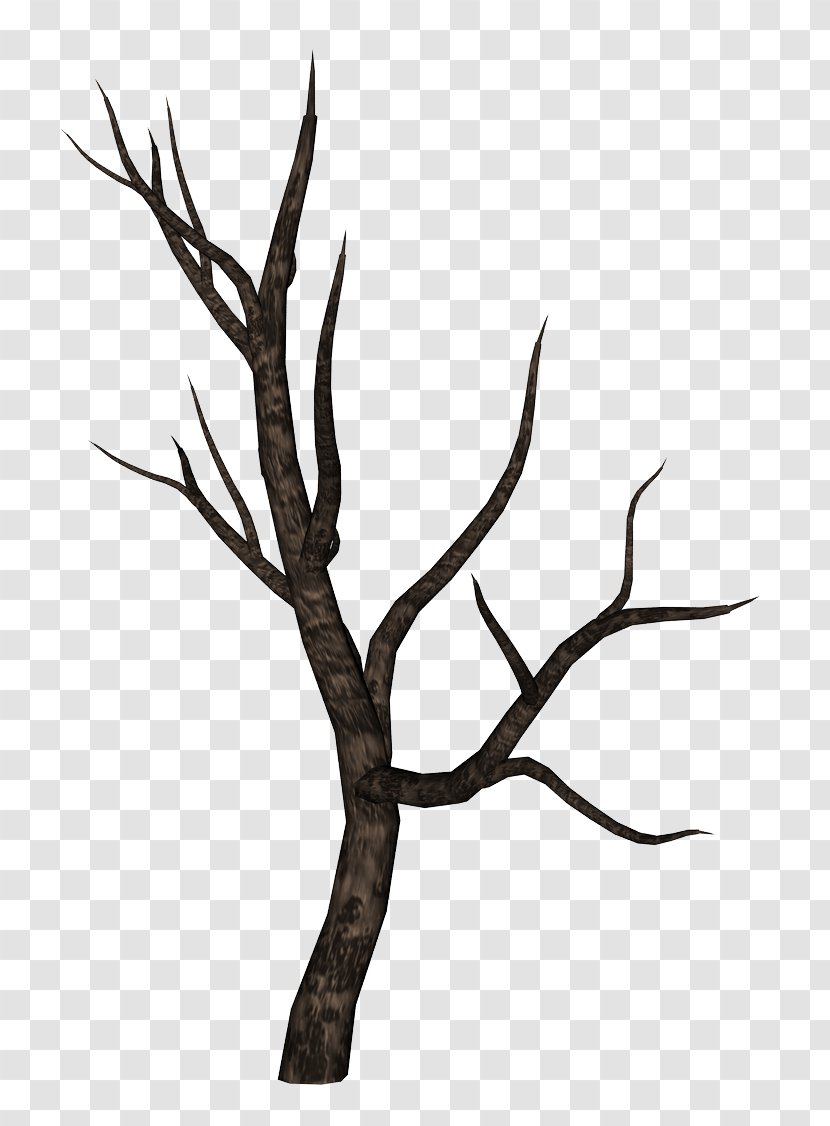 Desktop Wallpaper Art Surrealism - Display Resolution - Dead Tree Transparent PNG