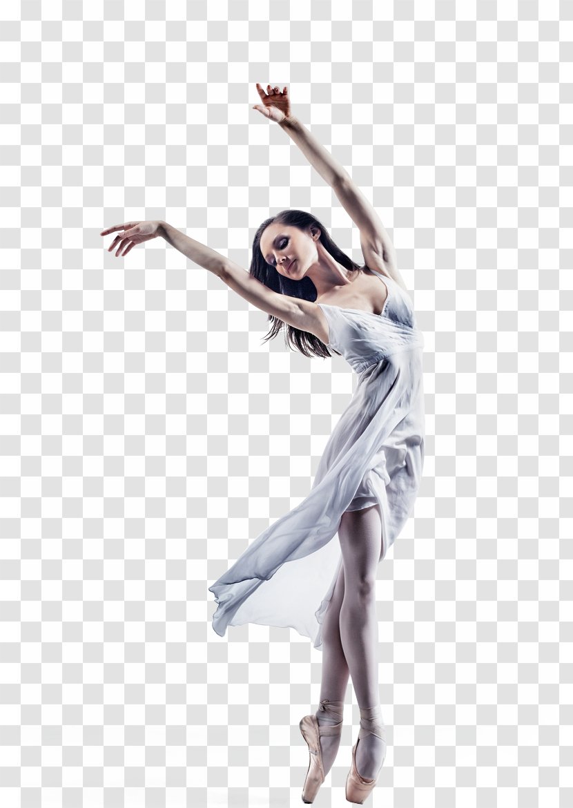 Dance Ballet Portrait - Tree - Woman Transparent PNG