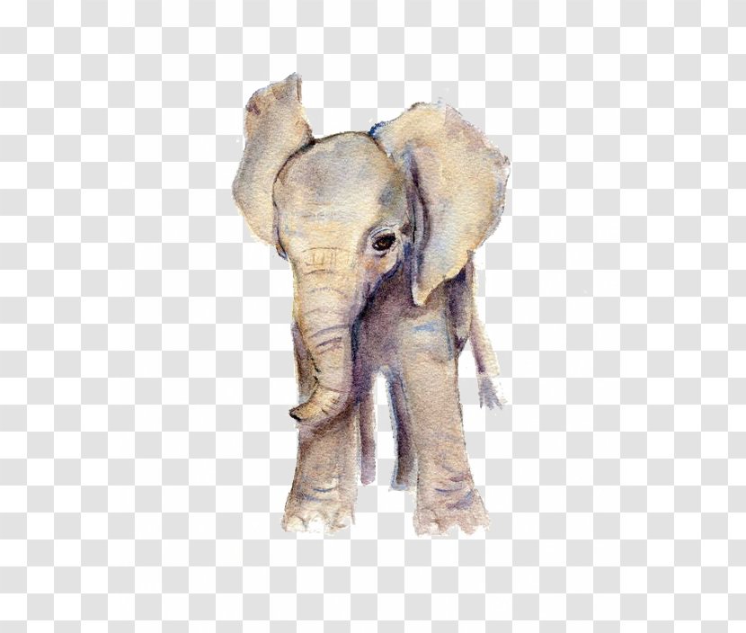 Elephant Watercolor Painting Art Printmaking - Printing Transparent PNG