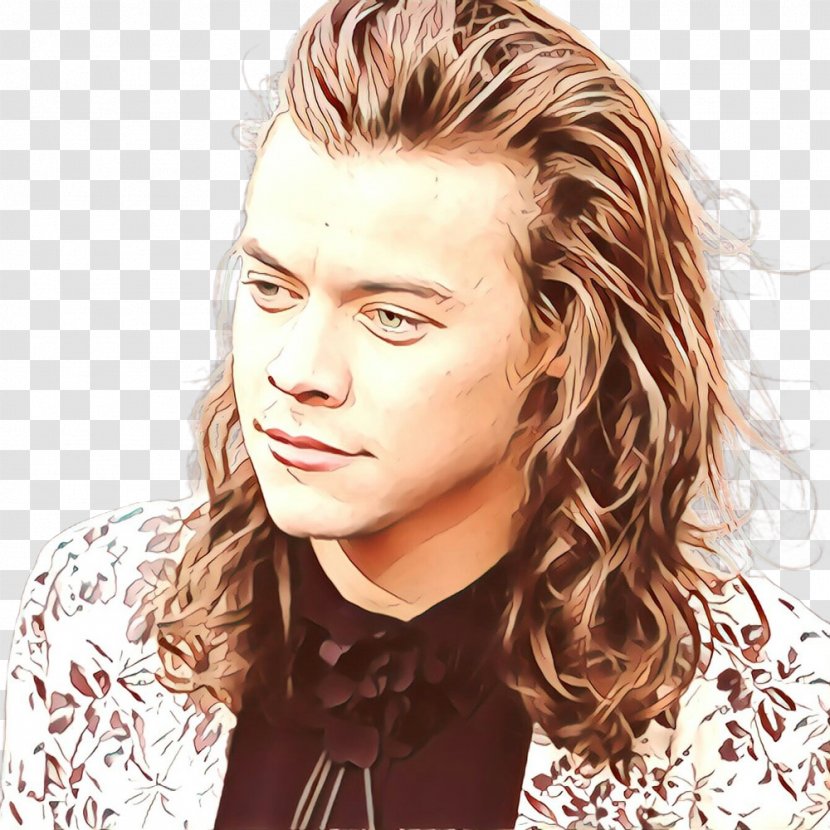 Hair Cartoon - One Direction - Asymmetric Cut Ear Transparent PNG