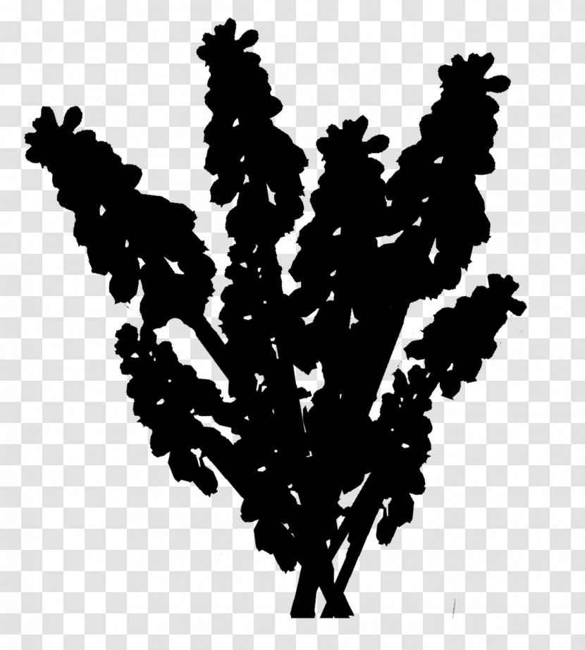 Leaf Font Silhouette Tree Flowering Plant - Blackandwhite Transparent PNG