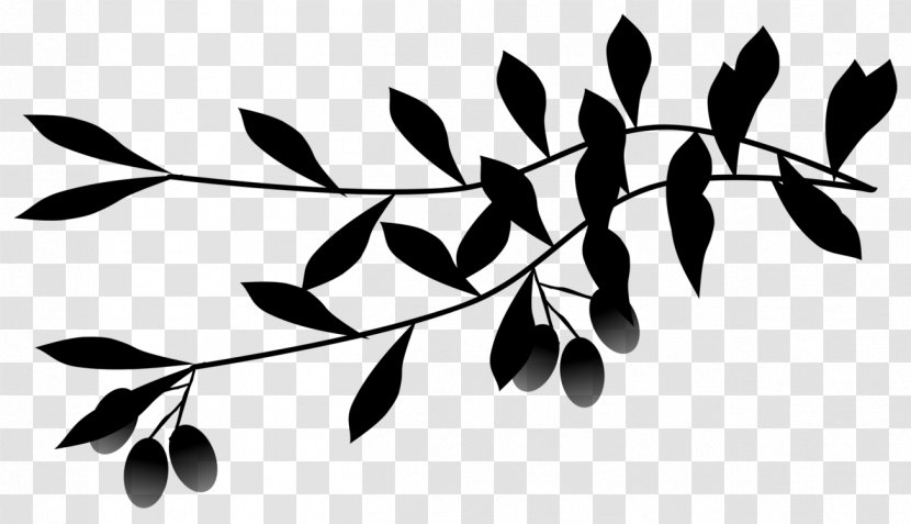 Plant Stem Clip Art Flowering Fruit Leaf - Plants Transparent PNG