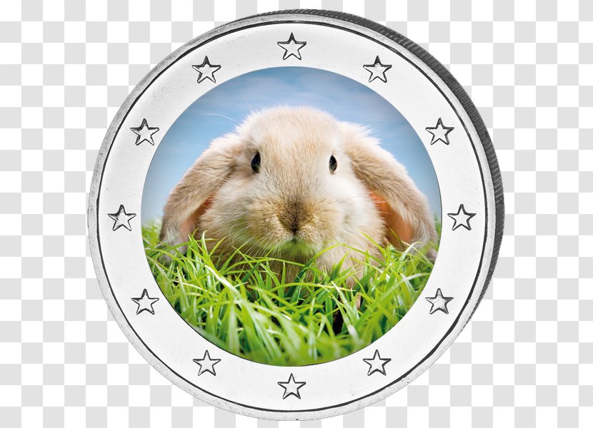 Desktop Wallpaper Domestic Rabbit Download - Tree - Frohe Ostern Transparent PNG