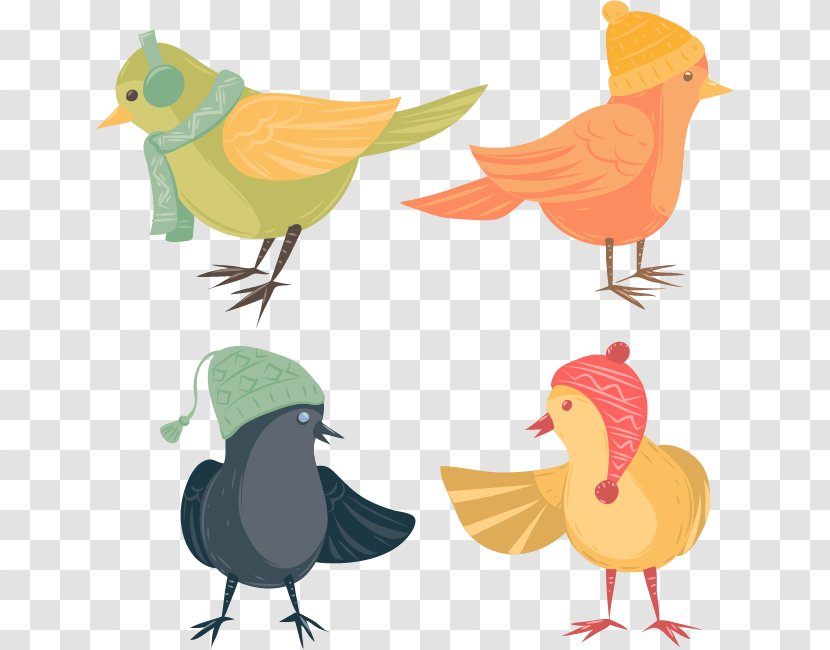 Bird Clip Art - Galliformes - Hats Can Love Birds Transparent PNG